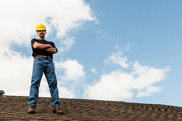 Best Metal Roofing Contractor  in Herculaneum, MO