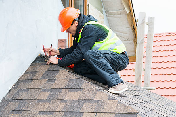 Best Roof Gutter Cleaning  in Herculaneum, MO